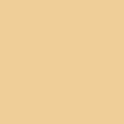 Touch & Go Hair Concealer
