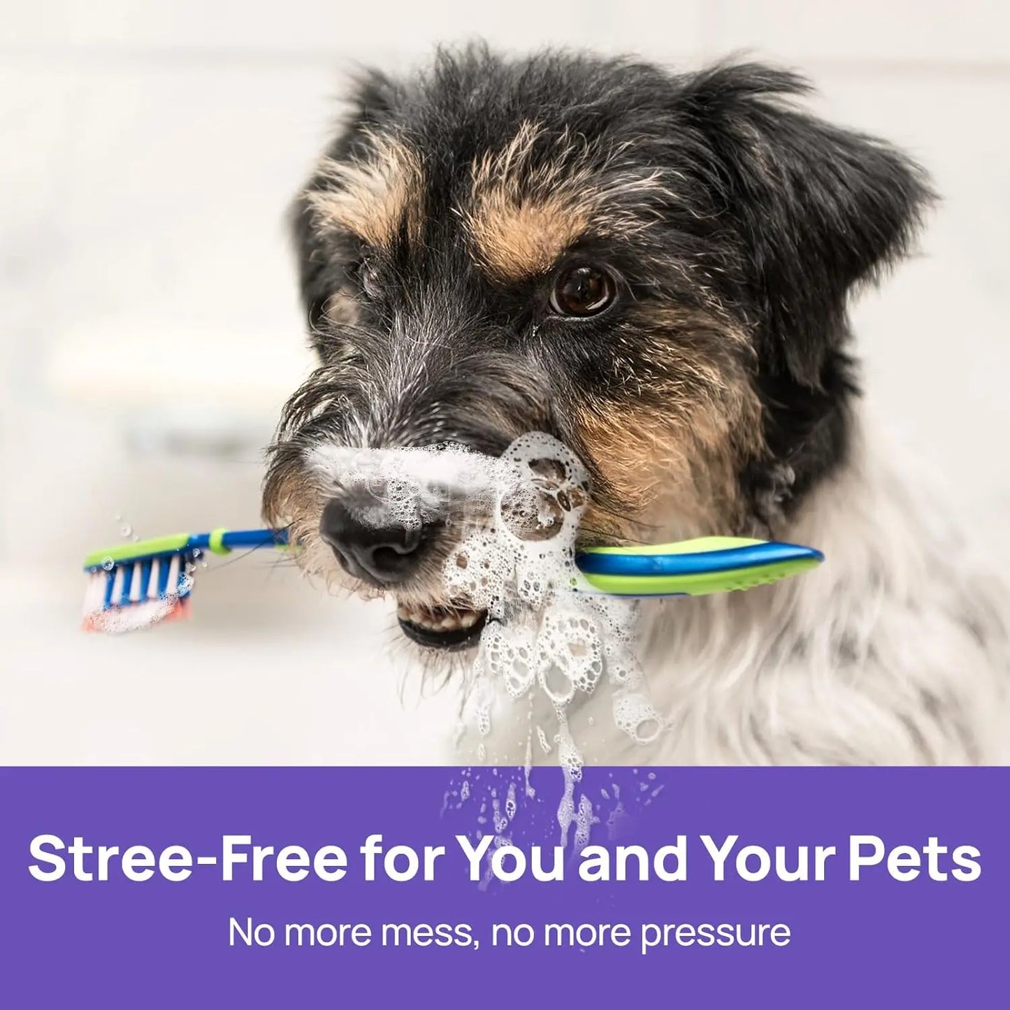 🍃NO BRUSHING oral care spray for dogs cats